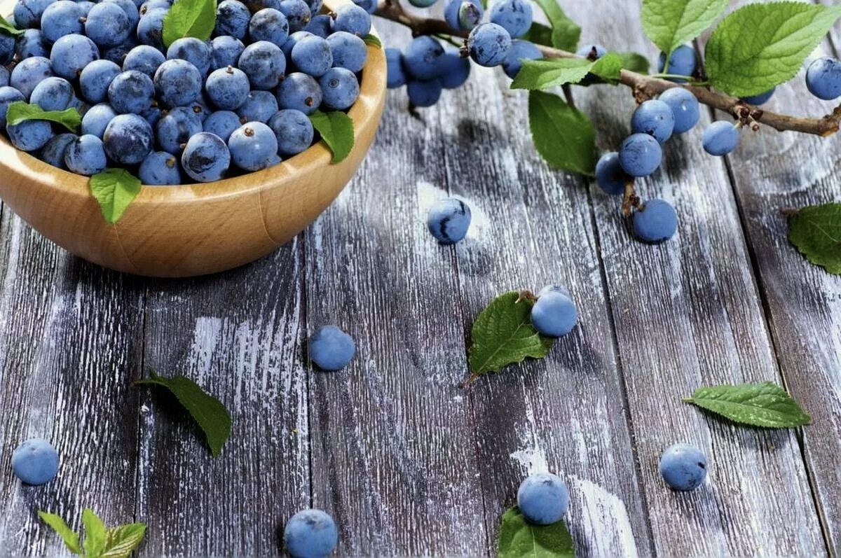 Терн (prunus spinosa). Тёрн ягода. Тёрн терновый куст. Слива колючая терн. Ягоды терновника.