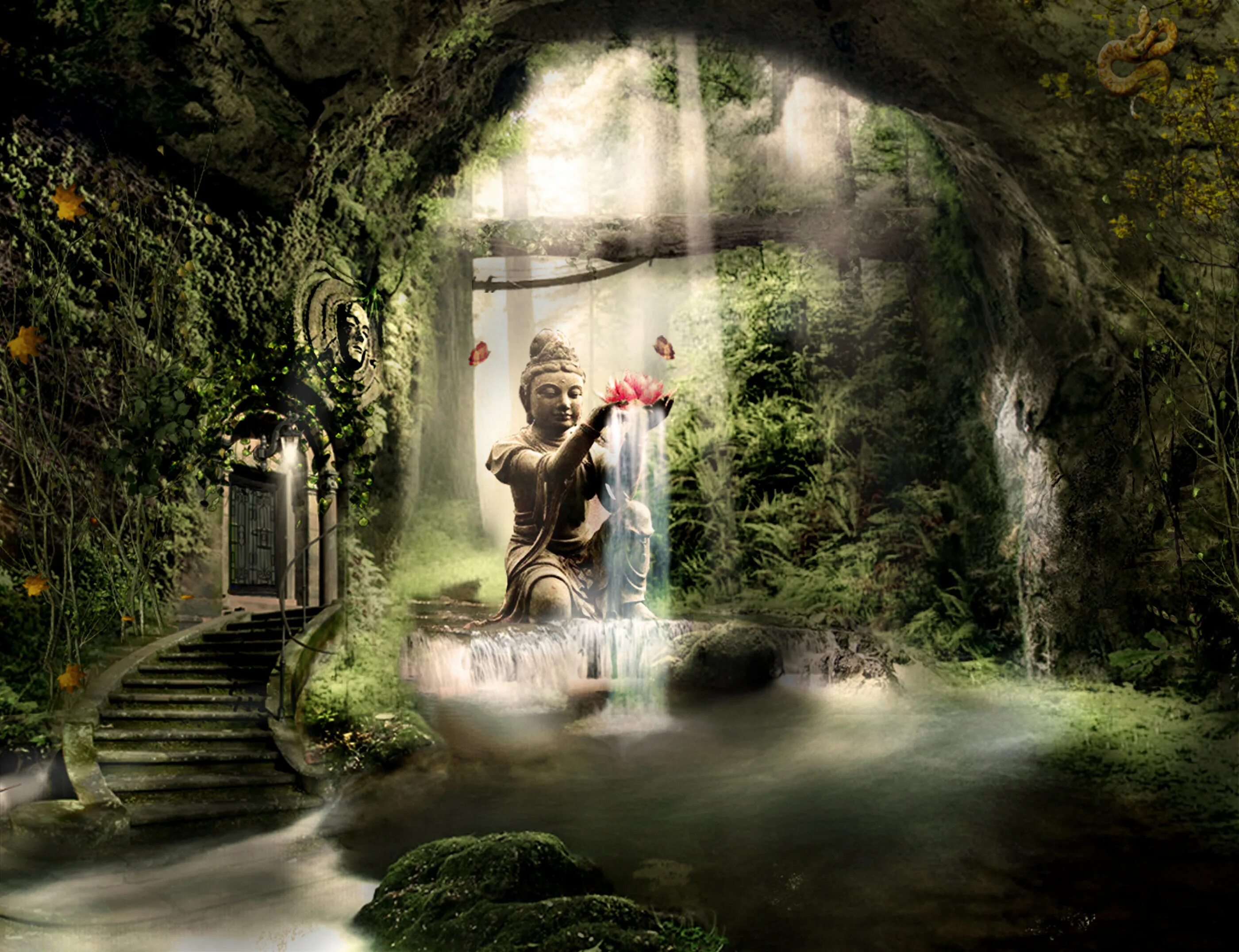 Jungle dreams