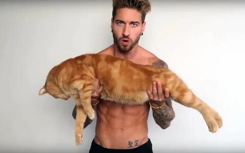 Накаченная кошка