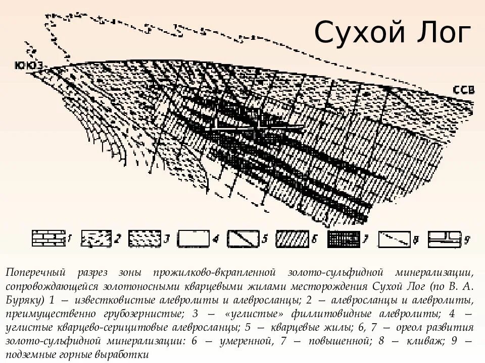 Сухой лог месторождение золота. Сухой лог месторождение золота разрез.