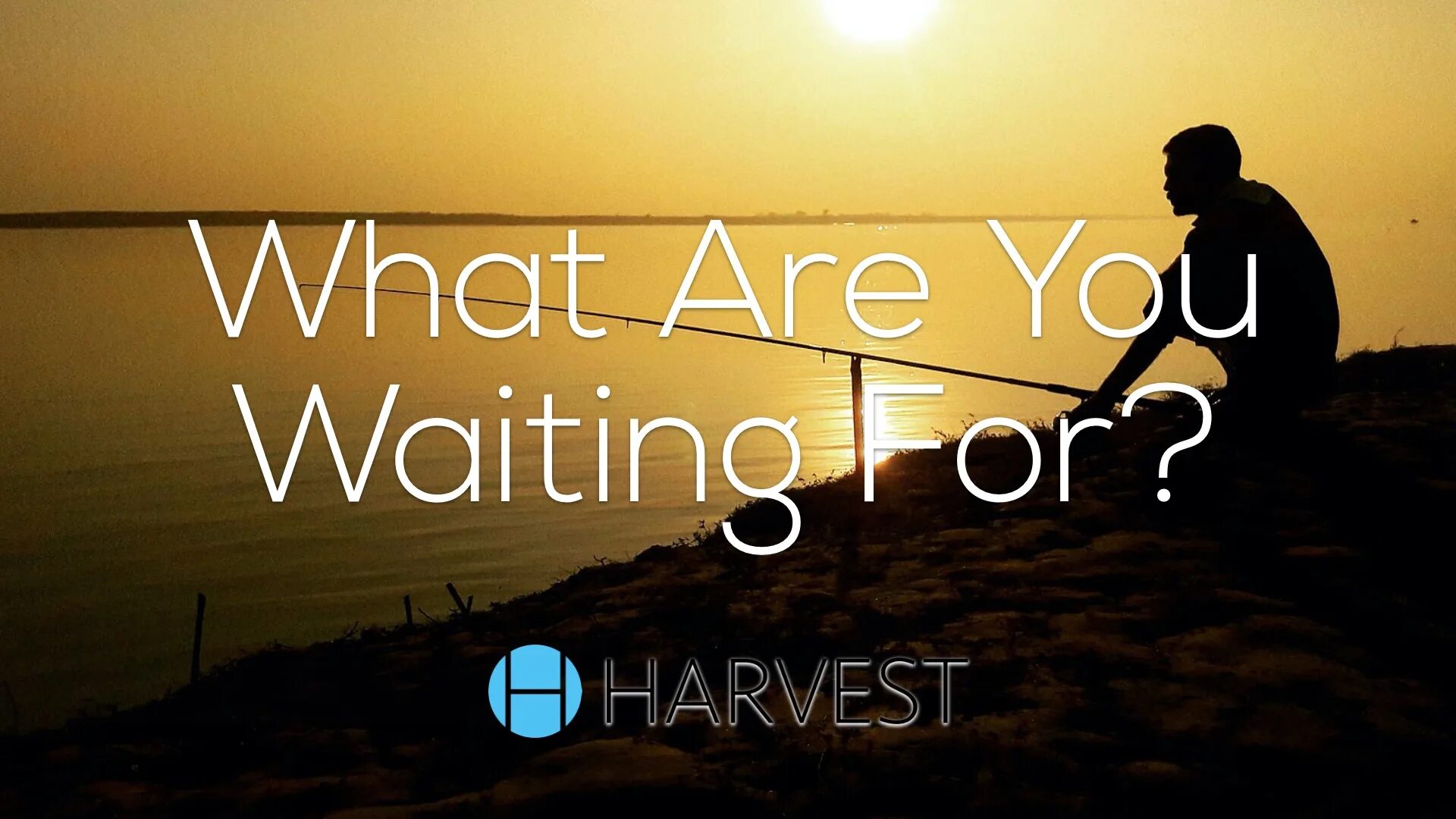 We have been waiting for you. What are you waiting for. waiting for you на белом фоне.