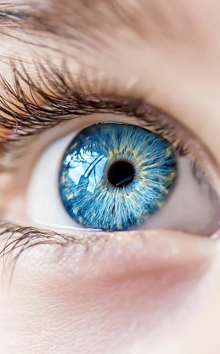 My eyes are blue