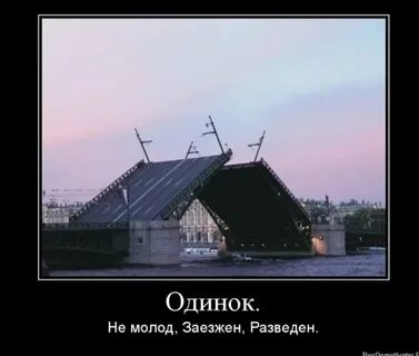 Разведенная одинокая