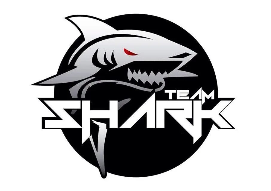 Раскрутка сайта team shark. Акула логотип. Шарк логотип. Shark надпись. Акула клан.