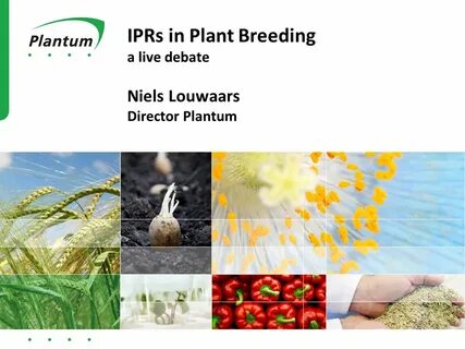 Plantum
