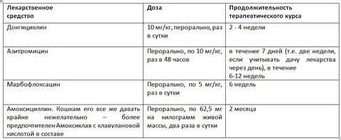 Дозировка крысам
