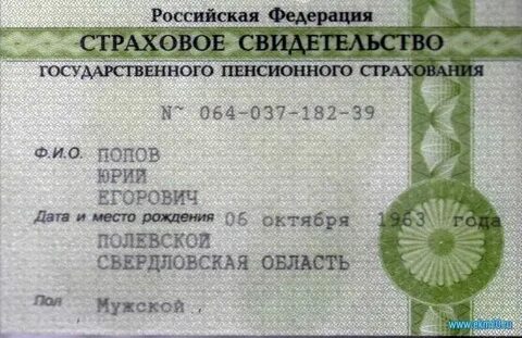 Как узнать снилс физического