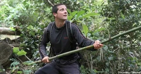Survival test