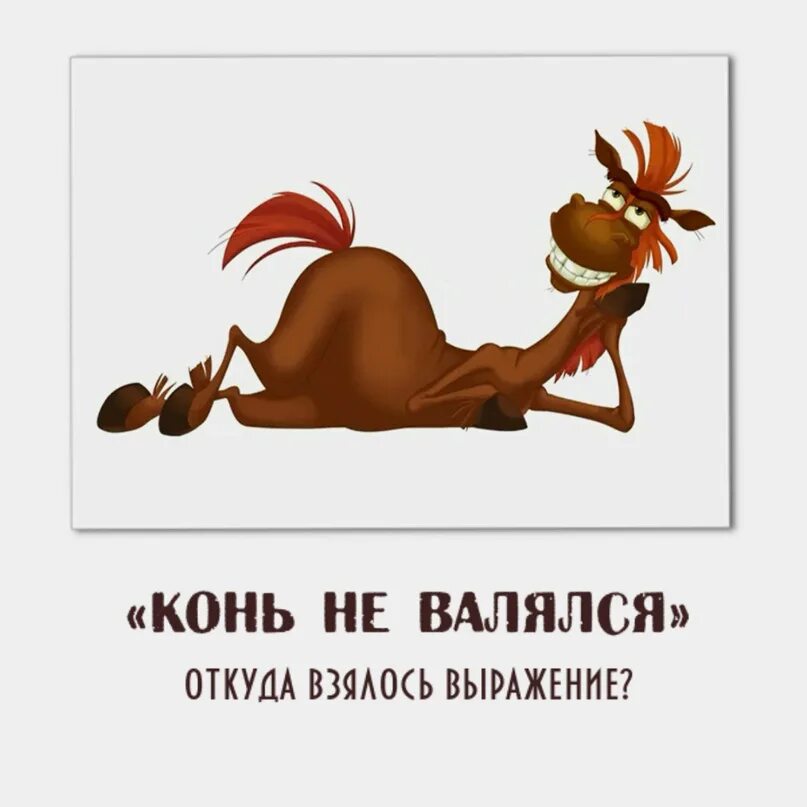 Конь вырвется догонишь слова. Конь вырвется догонишь слова. Конь вырвется догонишь слова. Шутки про коней. Скоро сказка сказывается.