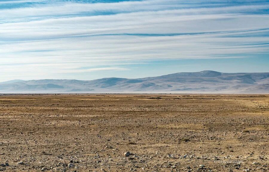 Каштановые сухие степи. Степь полупустыня пустыня. Зона полупустыни Калмыкия. Полупустыни Казахстана. Полупустыни полупустыни.