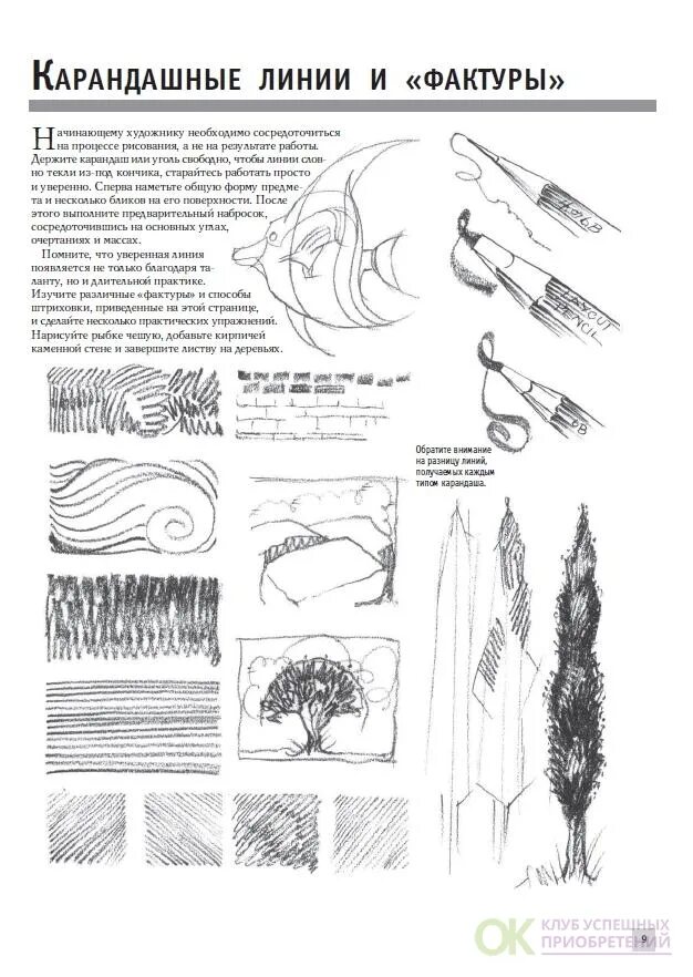 Основы рисования для начинающих. Основы рисования для начинающих. Книги по штрихованию для начинающих. Поэтапное рисование коня. Самоучитель рисования аниме.