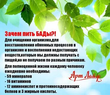 Можно пить бады