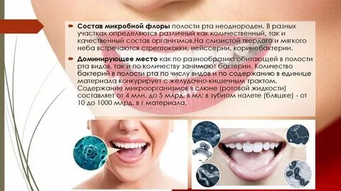 Сколько бактерий в ротовой полости