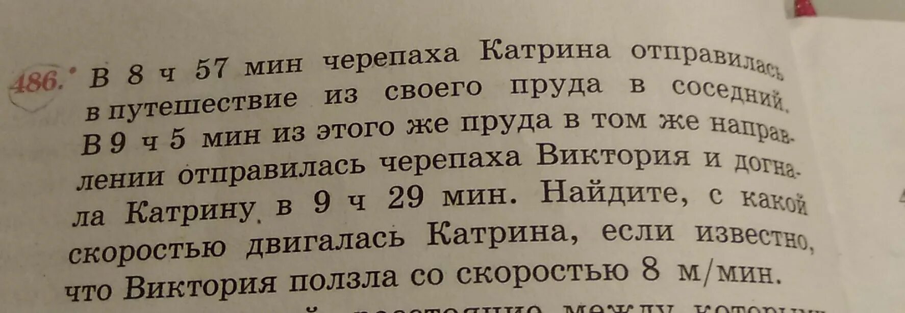 В 8 Ч 57 мин черепаха Катрина отправилась в путешествие из своего пруда. В 8 часов 57 минут черепаха Катрина отправилась. В 8 часов черепаха Катрина отправилась путешествие из своего пруда. В 8ч 57мин черепаха. 5 ч 29 мин