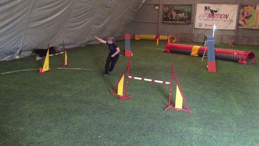 Аджилити манеж строгино. Аджилити лабрадор. Аджилити строгино. Аджилити манеж. Аджилити манеж строгино.