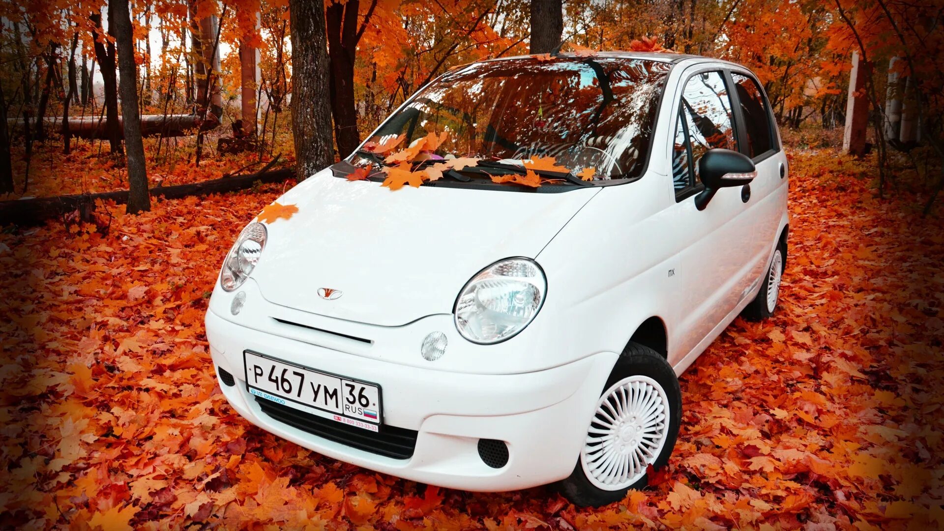 Матиз хозяев. Daewoo matiz. даевоо матиз. daewoo matiz 2017. дэу матиз 2.