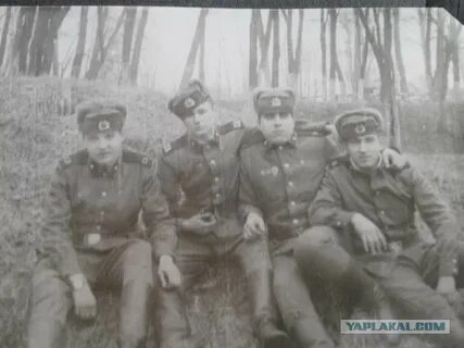 Сослуживцы найти без регистрации