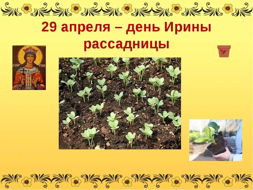 Какой праздник 29 числа апреля. Какой праздник 29 числа апреля