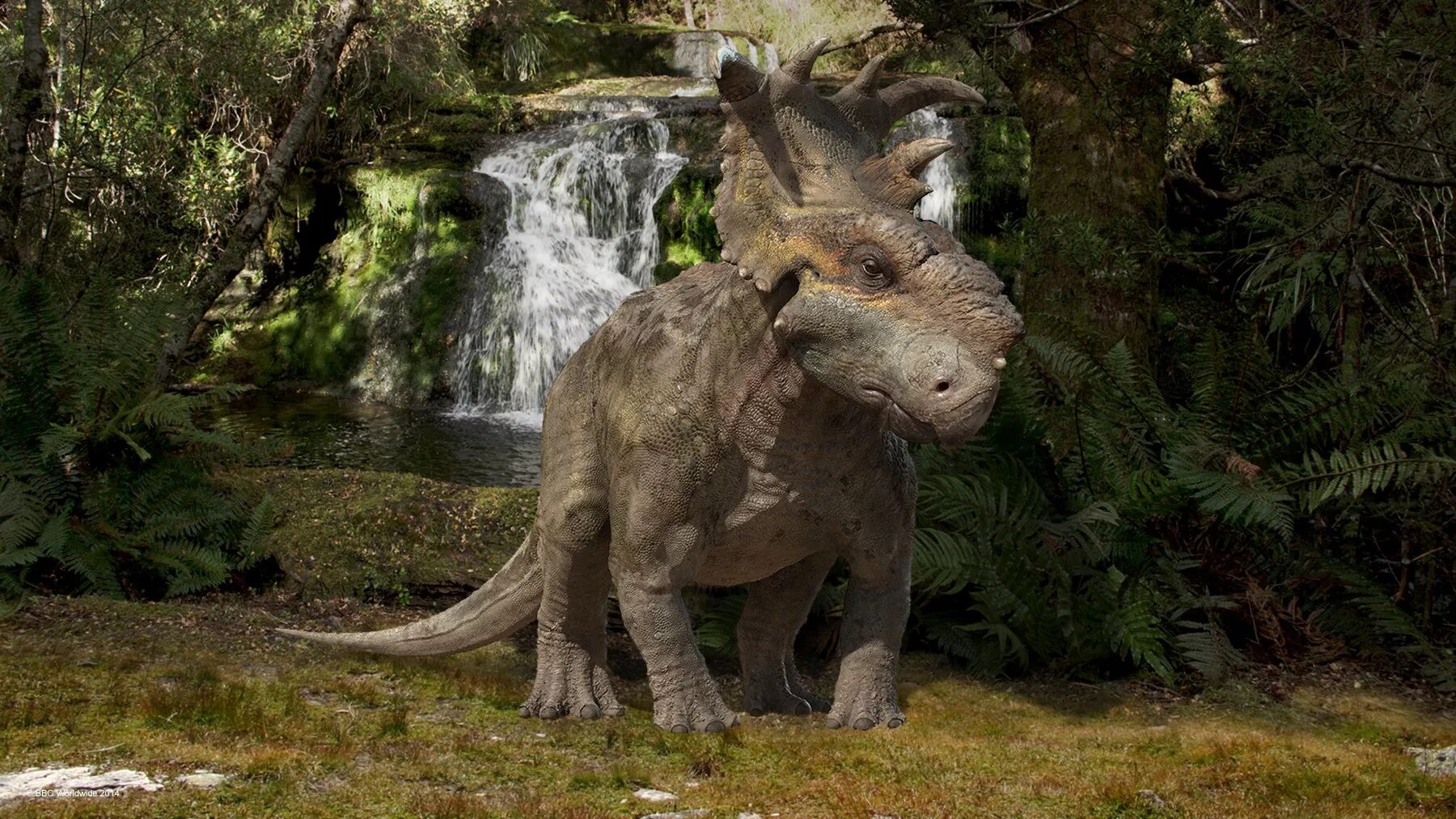 Прогулки с динозаврами с николаем. Прогулки с динозаврами 3d пахиринозавр. трицератопс прогулки с динозаврами. пахиринозавр 2013. пахиринозавр печчи.