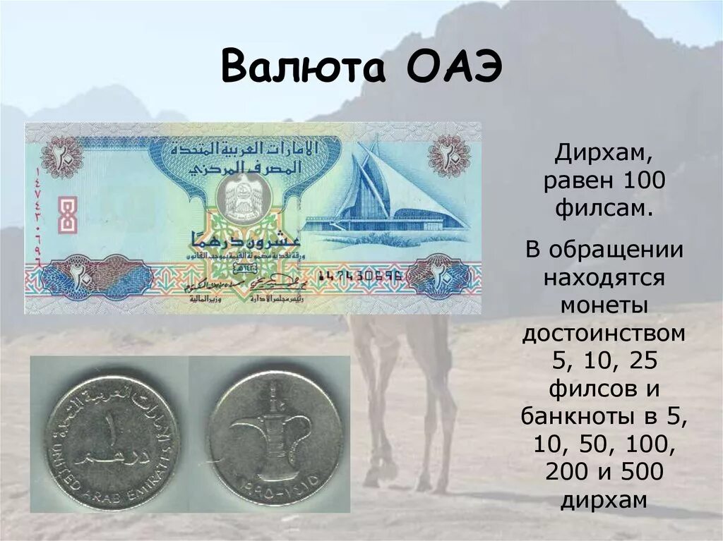 Валюта в дубае к рублю на сегодня. Дирхам Объединённых арабских Эмиратов. Валюта ОАЭ. Деньги ОАЭ. Денежная валюта ОАЭ.