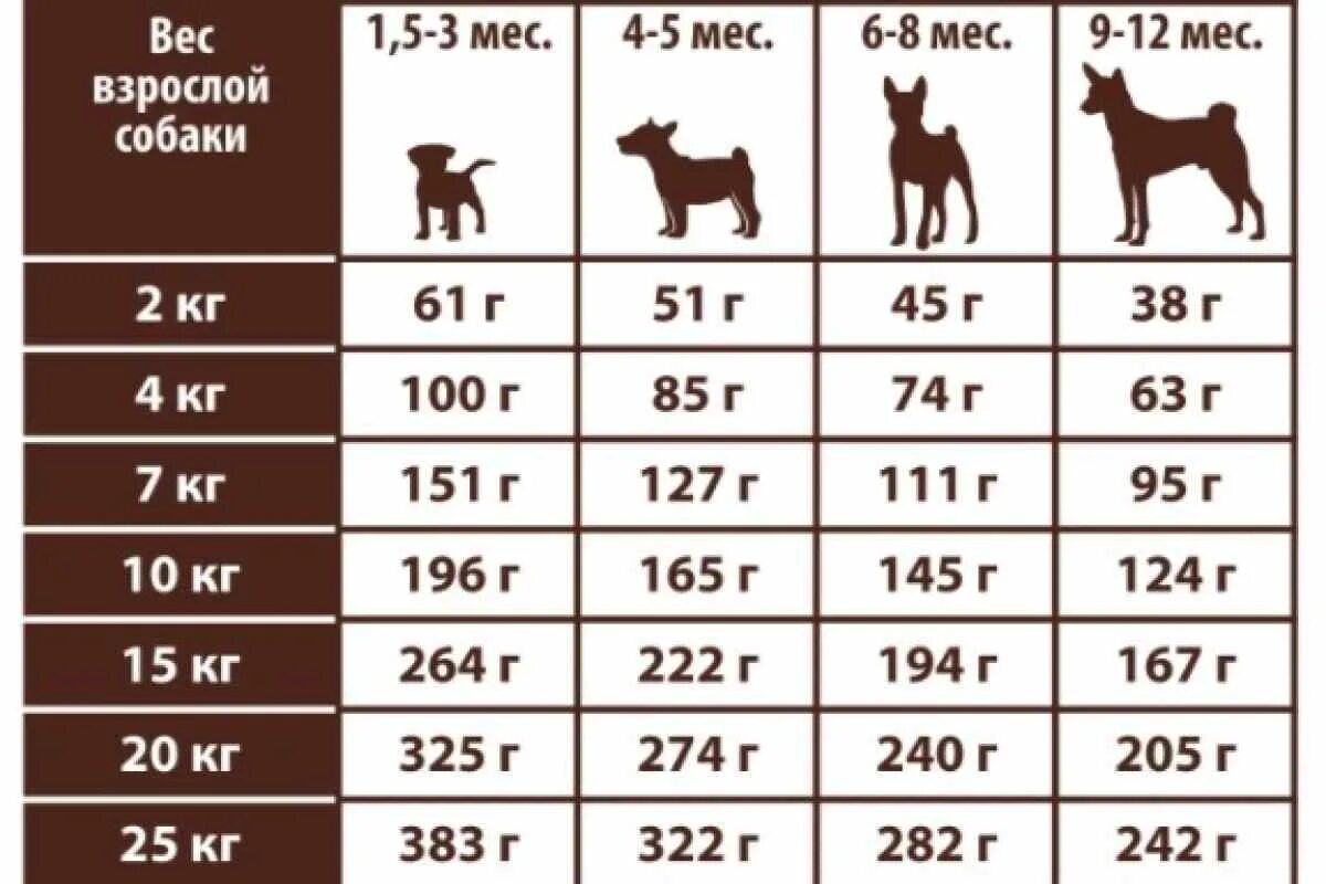 Норма кормления собак натуральными продуктами таблица. Норма кормления лабрадора в 4 месяца. Норма корма для щенка лабрадора 2 месяца. Вес и норма питания щенка лабрадора.