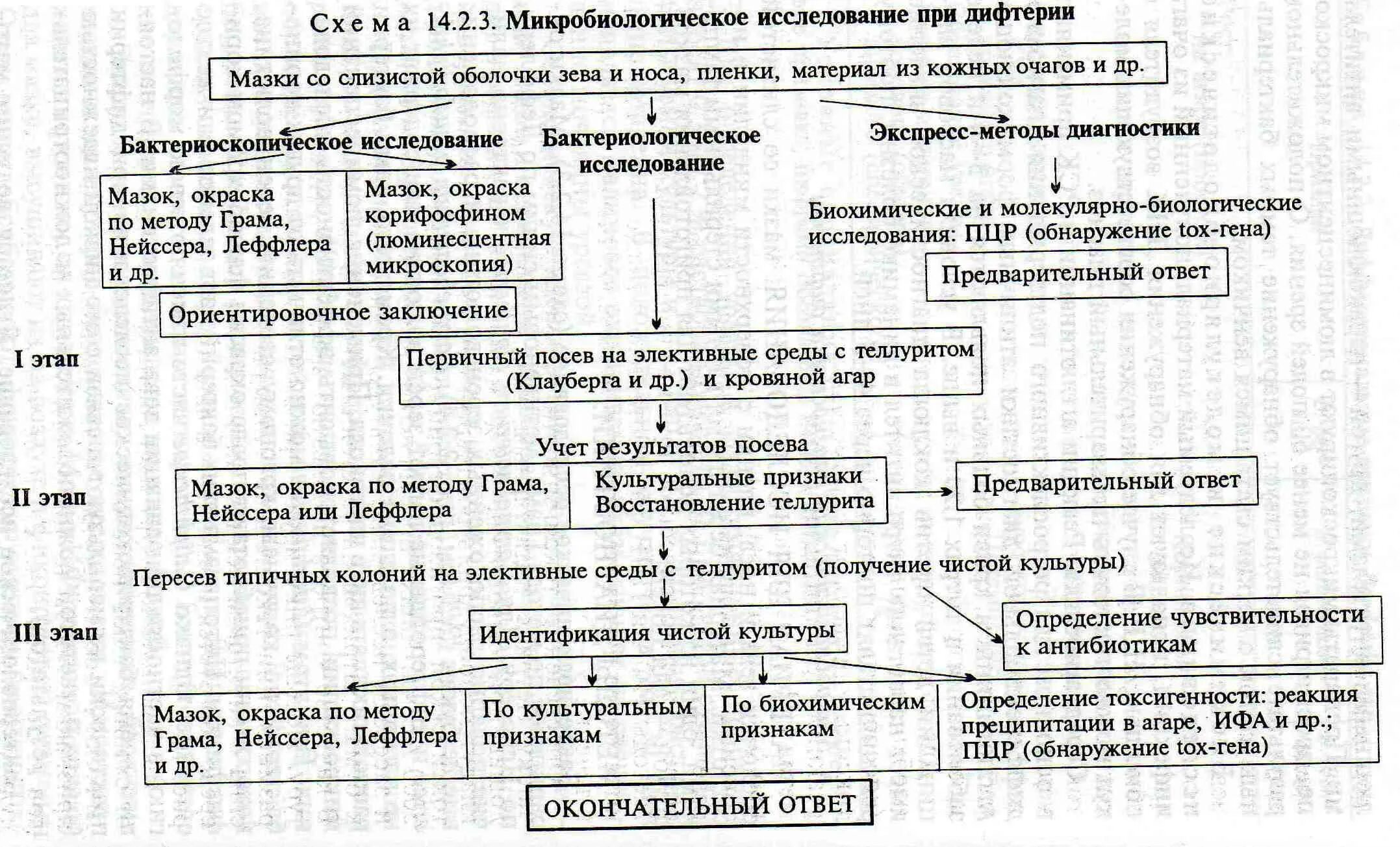 Этапы практического анализа. Микробиологическая диагностика дифтерии микробиология. Схема микробиологического исследования дифтерии. Схема микробиологического исследования при коклюше. Схема микробиологического исследования при подозрении на дифтерию.