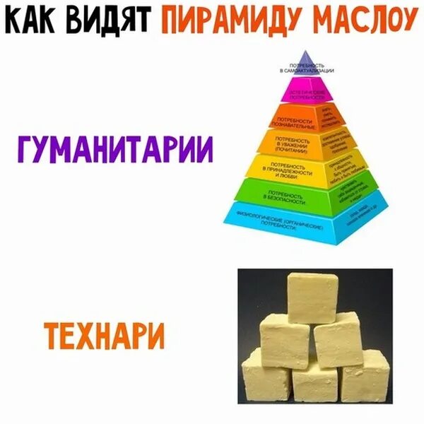 Гуманитарии и технари читательская грамотность. Черты технарей. Путин технарь или гуманитарий. Разделение на гуманитариев и технарей. Технарь гуманитарий сравнение.