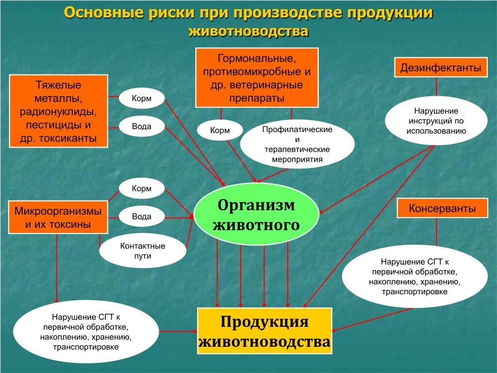 Риски при производстве. Риски при производстве продукции. Риски производства продукции. Технологические проблемы животноводства.