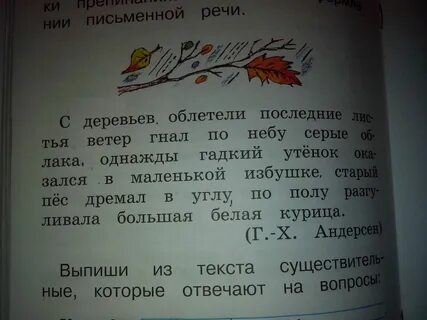 С деревьев облетели последние листья