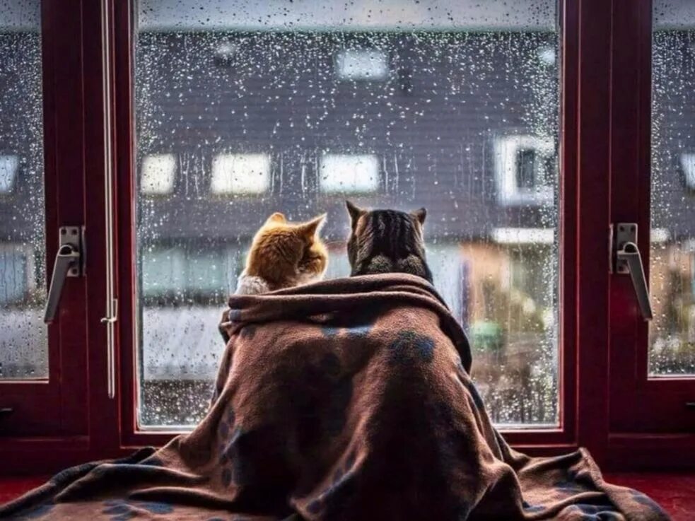 Зима любовь счастье. Зимние мотиваторы. Хочется тепла зимой. Хочется тепла зимой. Художник логинова аннет зима.