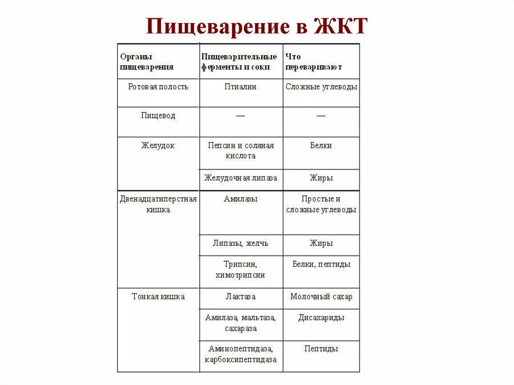 Таблица органы пищевода. Отделы пищеварительного тракта таблица пищеварительный сок. Пищеварение в желудке и кишечнике таблица. Железы пищеварительной системы строение функции таблице. Функции ферментов пищеварительной системы таблица.