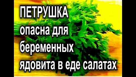 Трава для выкидыша на ранних сроках