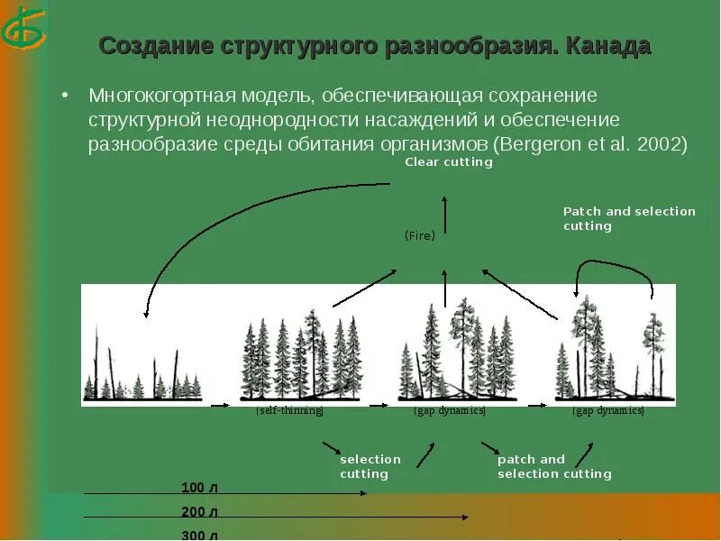 Сохранение биоразнообразия лесов. Структура насаждения. экологическая неоднородность вида. пространственная неоднородность биоразнообразия. биоразнообразие леса.
