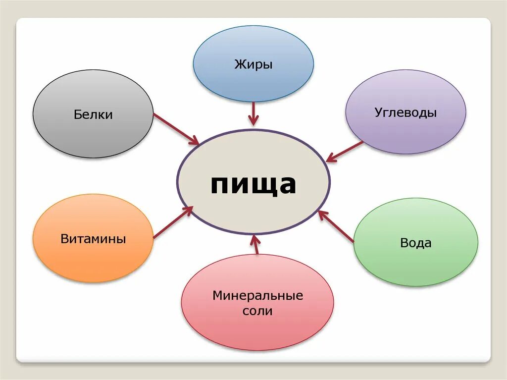 Являются белки жиры и углеводы. Белки жиры углеводы. белок жиры и углеводы. белки жиры углеводы минеральные вещества. белки жиры углеводы витамины.
