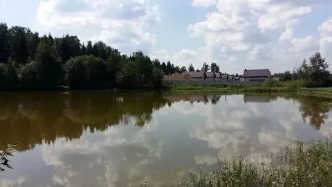 Подосинки московская область дмитровский