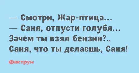Смотрим саню