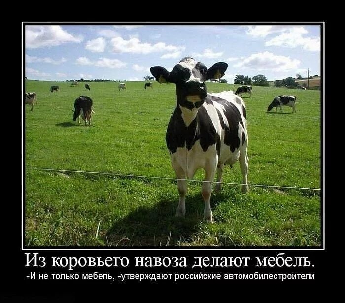 Соседний колхоз просит навоз