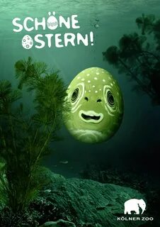 Is the fish happy