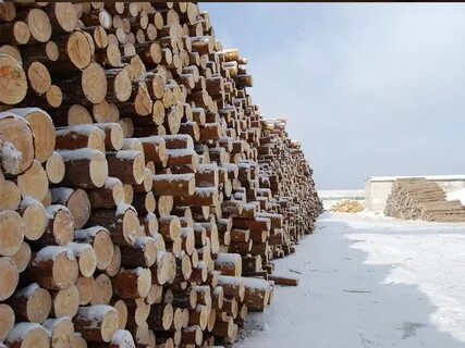 Северный сырье