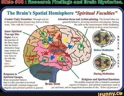 God brain