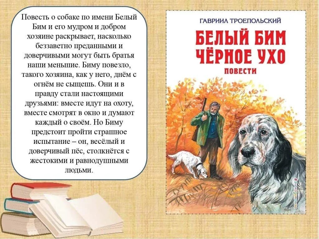 В произведении говорится о том. Трипольский белый дым чёрное ухо. Троепольский белый Бим черное ухо.