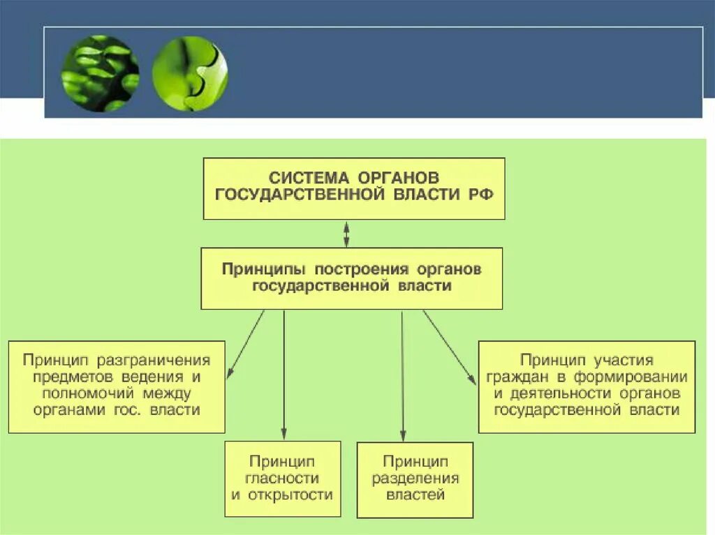 Орган государственной власти это часть. Органы гос власти РФ презентация. Структура органов государственной власти. Структура органов гос власти. Принципы построения органов государственной власти.