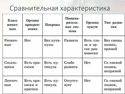 Таблица сравнительная характеристика червей плоские круглые кольчатые