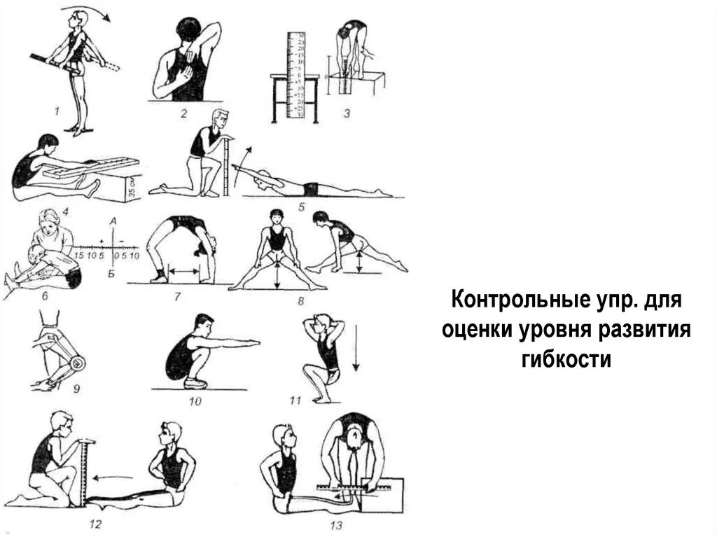 Упражнение уровень 3. Контрольные упражнения (тесты) для оценки уровня развития гибкости. Упражнения для развития гибкости. Упражнения для определения гибкости. Упражнения для совершенствования гибкости.