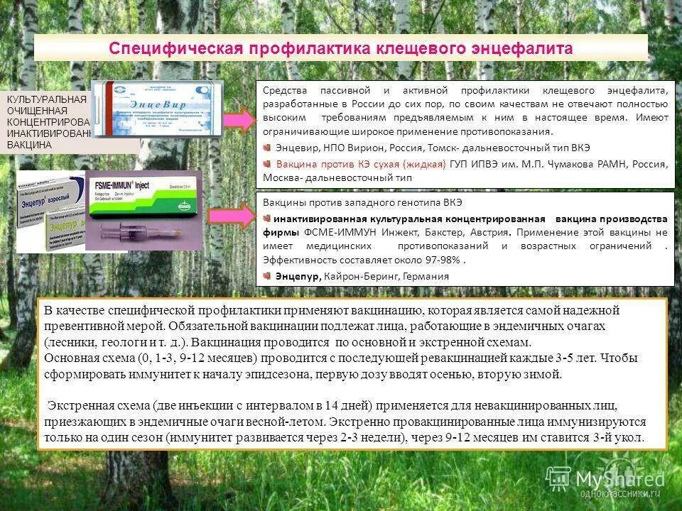 Схема вакцинации против клещевого энцефалита. Вакцина против клещевого энцефалита схема вакцинации. специфическая профилактика клещевого энцефалита вакцинация. экстренная схема вакцинации против клещевого энцефалита. кратность вакцинации против клещевого энцефалита.