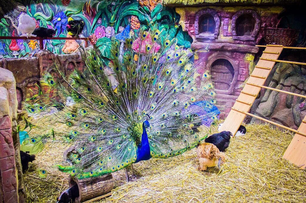 московский зоопарк обитатели. зоопарк отрада красногорский район. зоопарки подмосковья на карте. московский зоопарк адрес. зоопарк в подмосковье адреса.