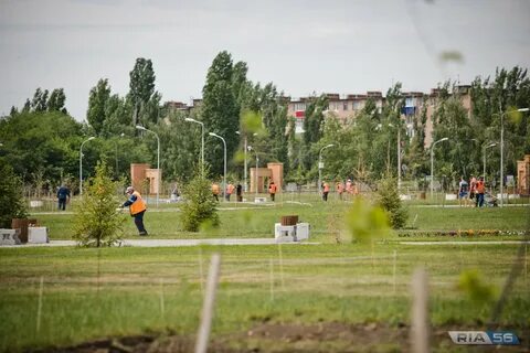 Оренбургская область 2020