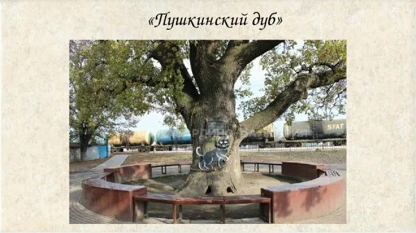 Кинбурнская коса - отдых как в сказке