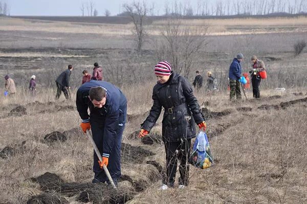 Лозно александровка луганская область. Белгородская лозное погода. Александровка луганская область. Белгородская лозное погода. Белгородская лозное погода.