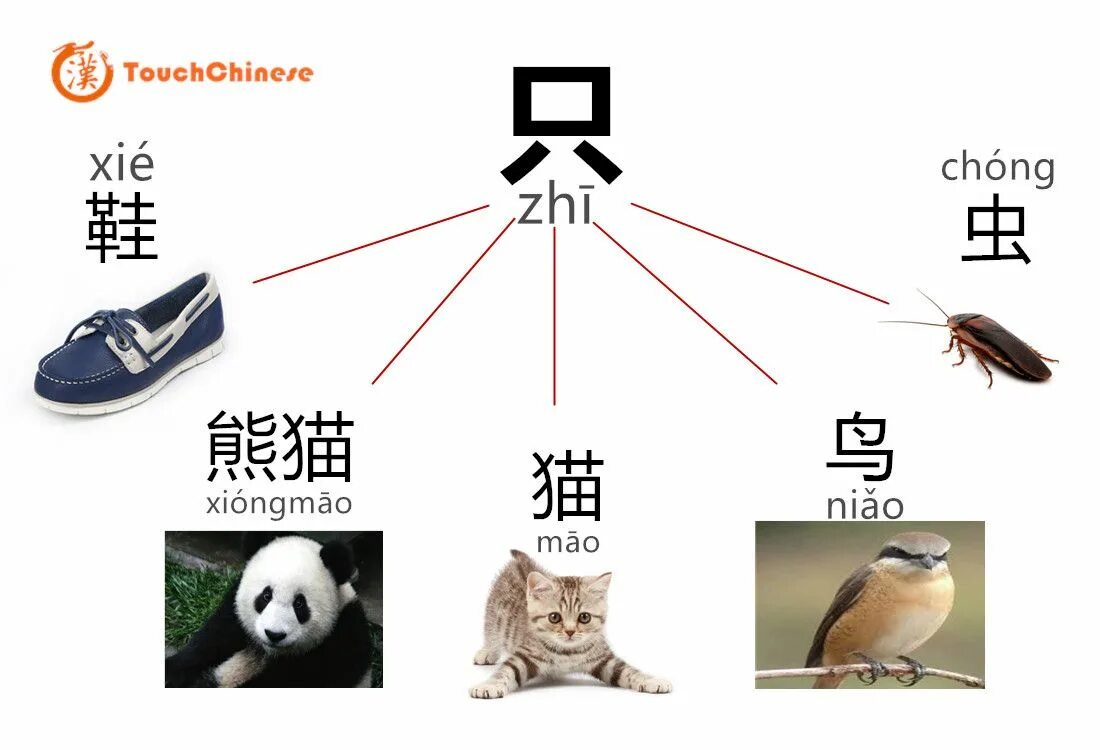 Серый по китайски аудио. Счетное слово для животных в китайском. Животные на китайском языке. Счетные слова в китайском языке. Китайские иероглифы животные.